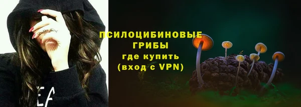 MESCALINE Аркадак