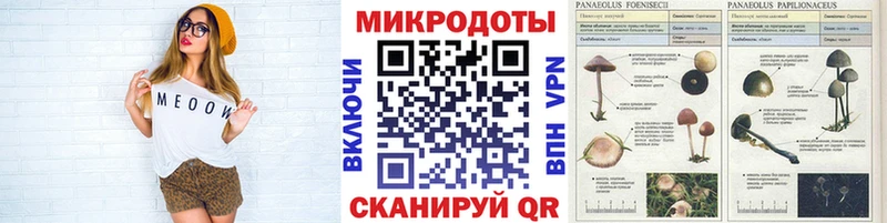 Галлюциногенные грибы ЛСД  сайты даркнета какой сайт  Байкальск  где найти наркотики 