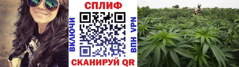 Шишки марихуана White Widow  Байкальск 